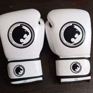 Daniel Gracie Academy White Fighting Gloves-16oz.